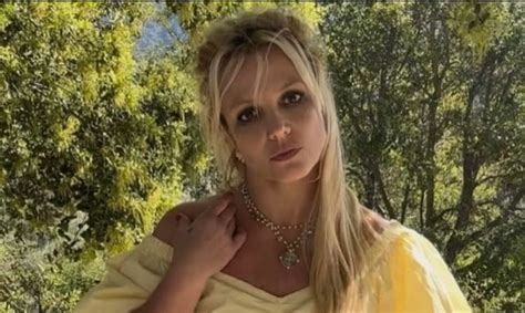 Britney Spears posts NUDE photos of herself on the beach